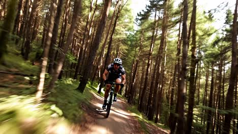 cyclist on a forest trail