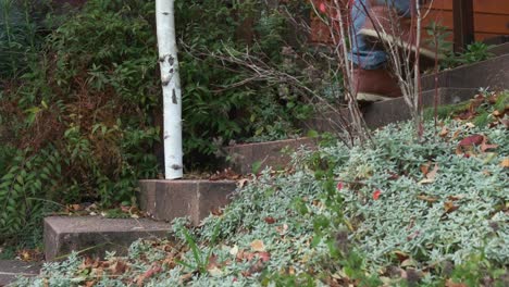 persons walking up stairs in an outside green garden
