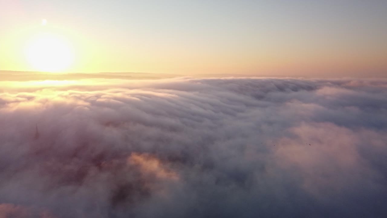 Birds passing over a fogwave during sunrise