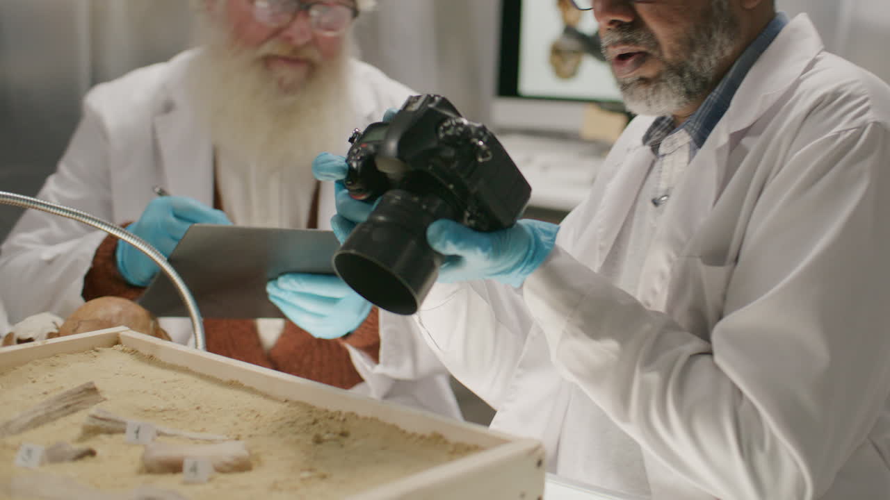 Two Senior Archaeologists Documenting Excavated Bones in Laboratory