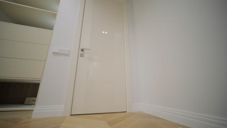 modern minimalist hallway with herringbone wood flooring, clean white doors, and subtle built-in storage solutions