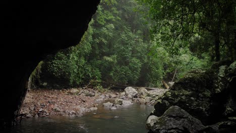 View-of-the-rainforest-from-inside-the-Natural-Bridge-cave,-Springbrook-National-Park,-Gold-Coast-Hinterland,-Australia