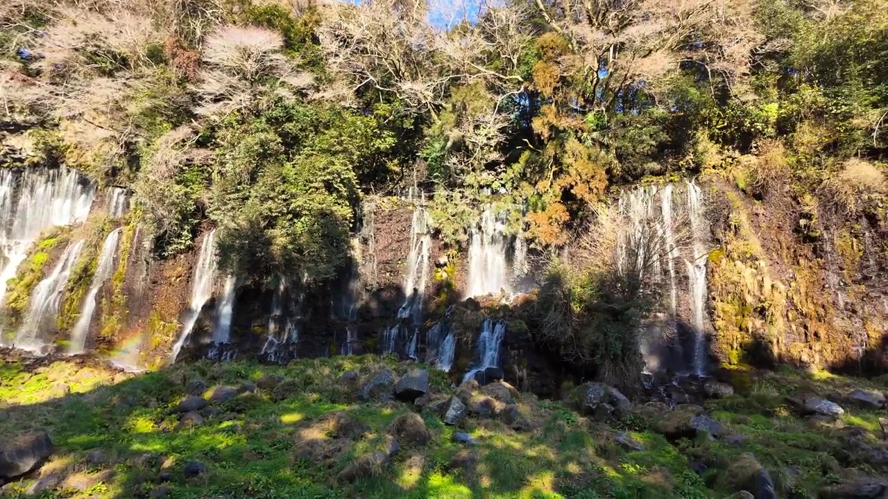 Japonya'nın Fujinomiya şehrindeki güneşle yıkanmış vadide yer alan yemyeşil yosunlu kayaları ve geleneksel bir taş köprüyü ortaya çıkaran, perde benzeri Shiraito Şelaleleri boyunca geniş bir panoramik çekim