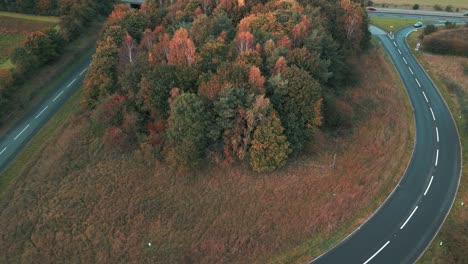 Herbstliche-Hainbäume-Auf-Der-Straße-Der-A11-Road-In-Der-Nähe-Der-Croxton-Road,-Thetford,-Norfolk,-Großbritannien