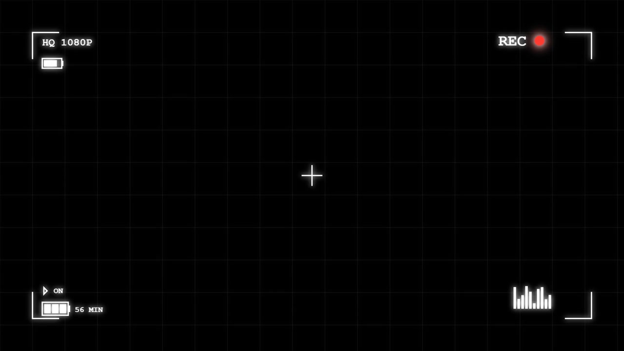 Digital Camera Viewfinder Overlay with Recording Indicator