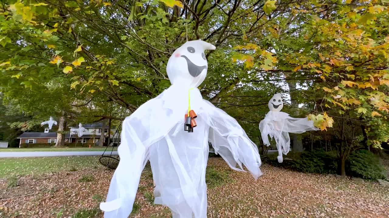moving by ghosts in tree at halloween time