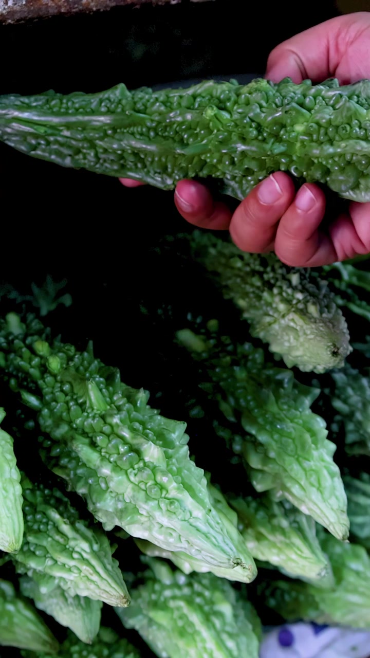 Uma mão pega cuidadosamente um melão-de-são-caetano fresco de uma pilha em um mercado, sob iluminação natural suave, com movimento de câmera em close-up