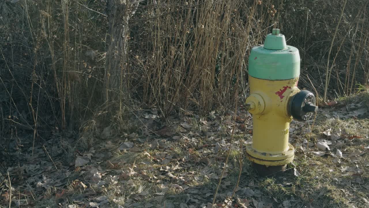 Fire Hydrant in Nature Setting of Salmon Arm British Columbia