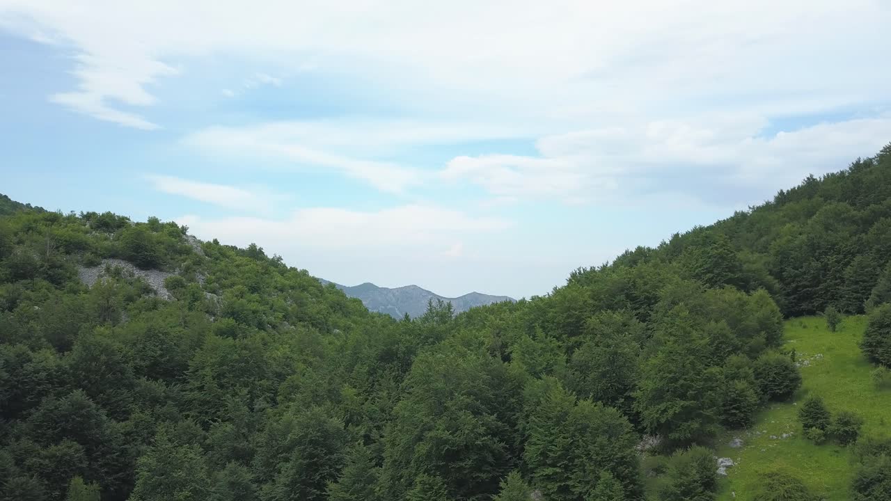 borov kamak, vratsa, 불가리아, 숲의 개울