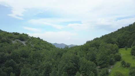 Borov-Kamak,-Vratsa,-Bulgaria,-Arroyo-En-El-Bosque