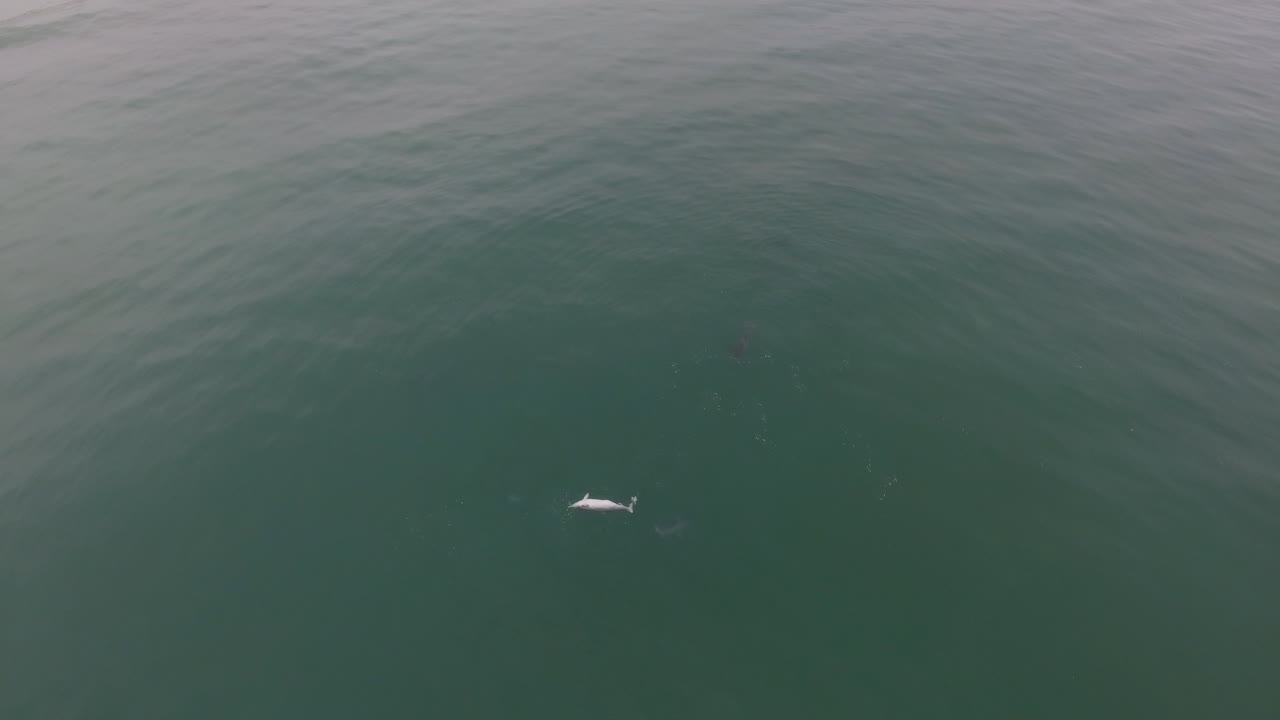 남아프리카 해안을 따라 서핑의 공중