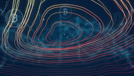 animating bitcoin symbols and contour lines over world map