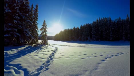 Snowy-landscape-during-winter-4k
