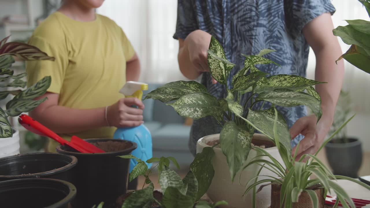 Father And Daughter Taking Care Of Plant At Home