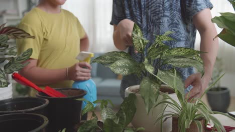 father and daughter taking care of plant at home
