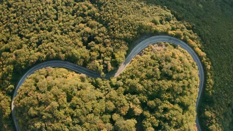 road trip on a heart shaped winding road