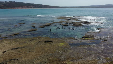 aerial orbits tourism group snorkeling at rocky limestone point, aus