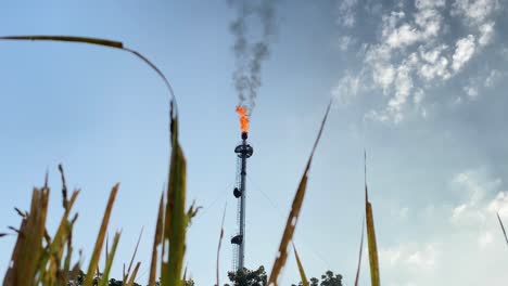 Low-angle-shot-of-high-Gas-Flare-burning-and-releasing-Co2,-grass-on-foreground