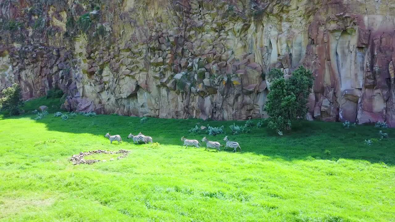 지옥의 문 국립 공원 리프트 밸리 케냐 아프리카에서 달리는 얼룩말 그룹의 공중