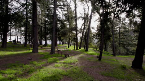 un dron cinematográfico filmó un campamento en un denso bosque en la hora dorada