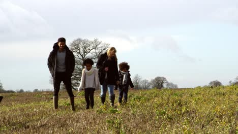 family walking with dogs in countryside shot on r3d