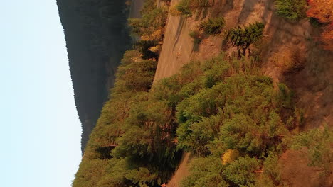 autumn landscape - vertical view of trees in the woodlands and fields during golden hour