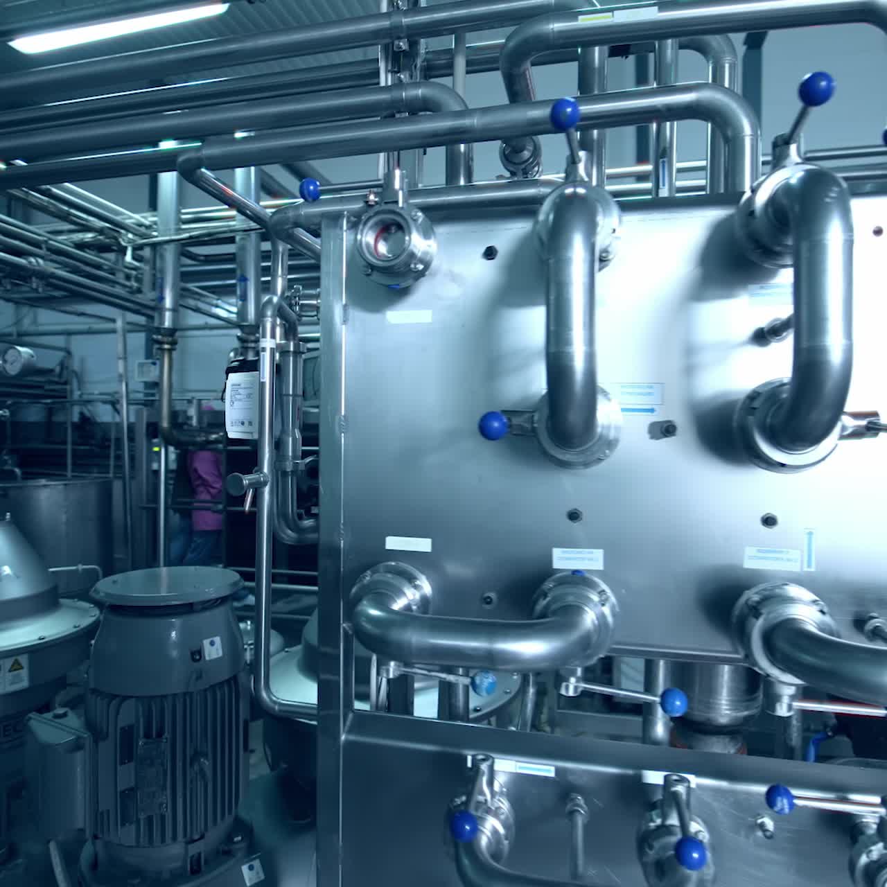 Dairy plant premise with fully automatic equipment. Stainless steel installation for the processing milk and producing dairy products