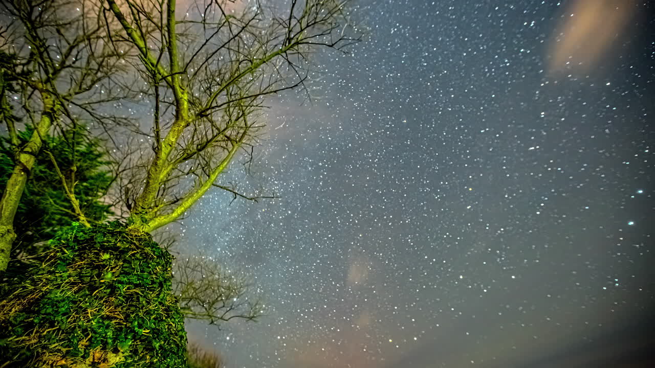 낮은 숲 비행기에서 회전하는 은하수에 초점을 맞춘 별이 빛나는 밤하늘의 초저속