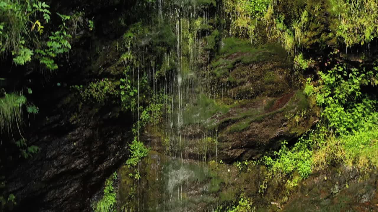 Kleiner sauberer Wasserfall im Wald. Wunderschöne Naturlandschaft Norwegens