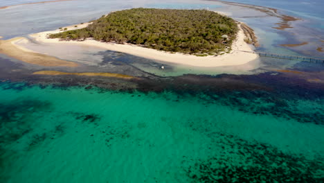 desertic paradise island new caledonia ilot signal turquoise turtles drone 4k