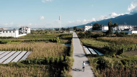 Persona-En-Bicicleta-Por-El-Pueblo-Agrícola-Chino-Rural,-Vista-Aérea