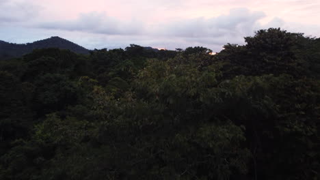 Lento-Primer-Plano-Aéreo-Volando-Por-Encima-De-Los-árboles-En-Un-Día-Nublado-Moody