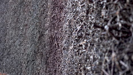 brown moss wall in iceland with dripping water droplets