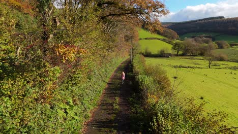 young woman, side track countryside road, verdant vegetation, aerial