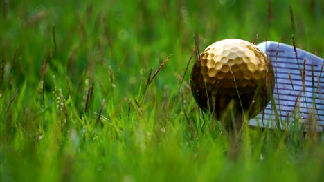 golf clubs and golf balls gold, placed on a green lawn, on the golf course