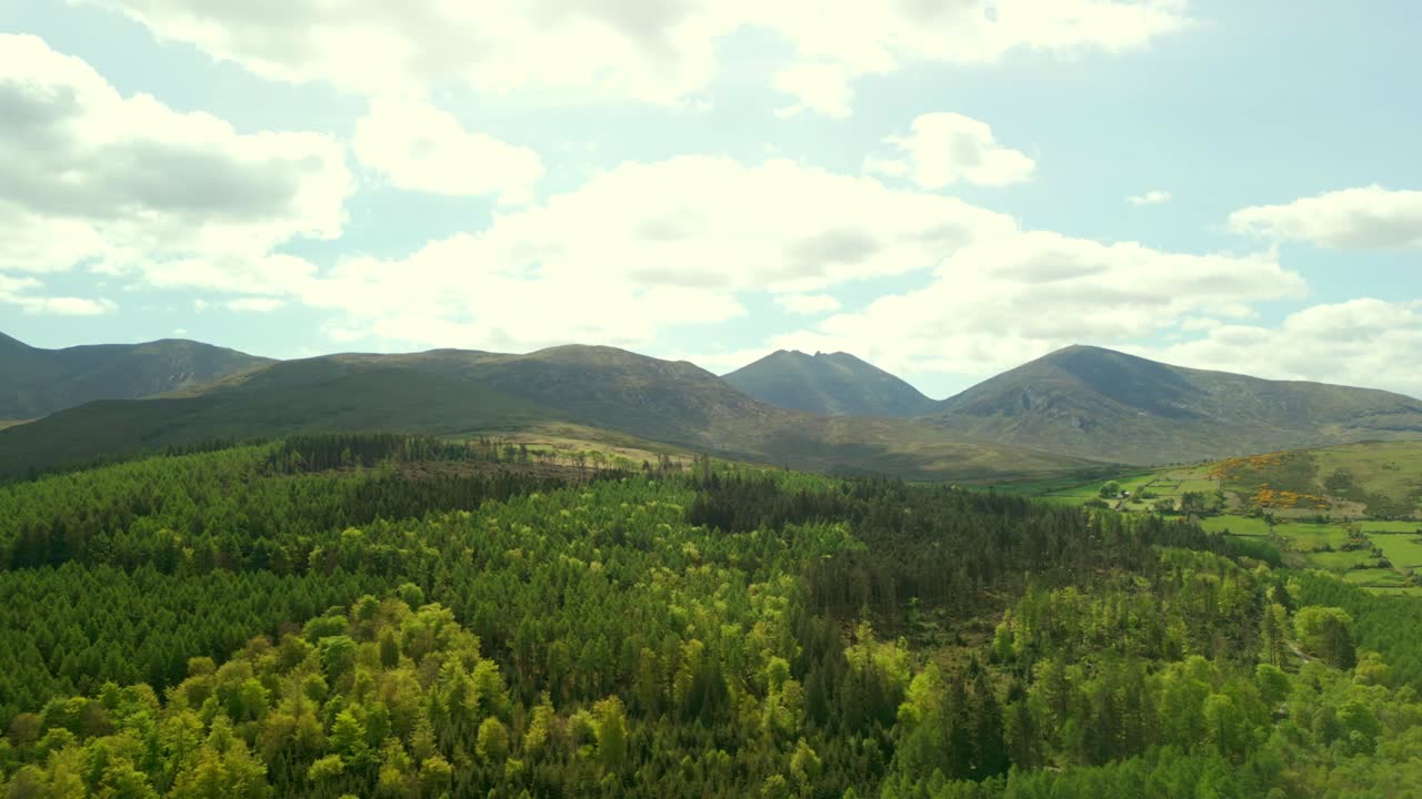 Aerial video of the forest at the Mourne Mountains and Slieve Donard in Newcastle, County Down in Northern Ireland, UK on a bright and sunny day. Filmed in 4K, 60fps and with Rec709 Color.