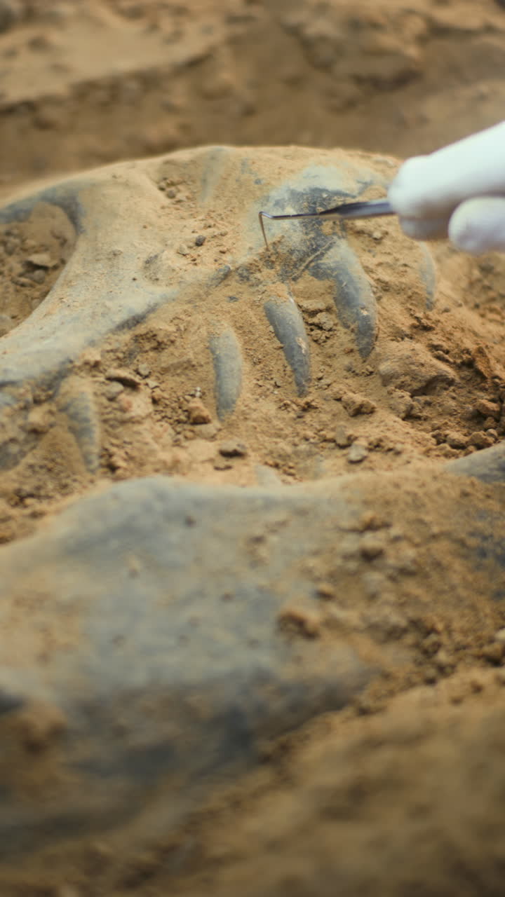 excavación arqueológica