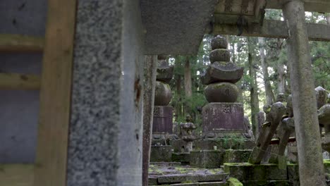 la película en cámara lenta revela los hermosos terrenos del templo en el monte koya en japón