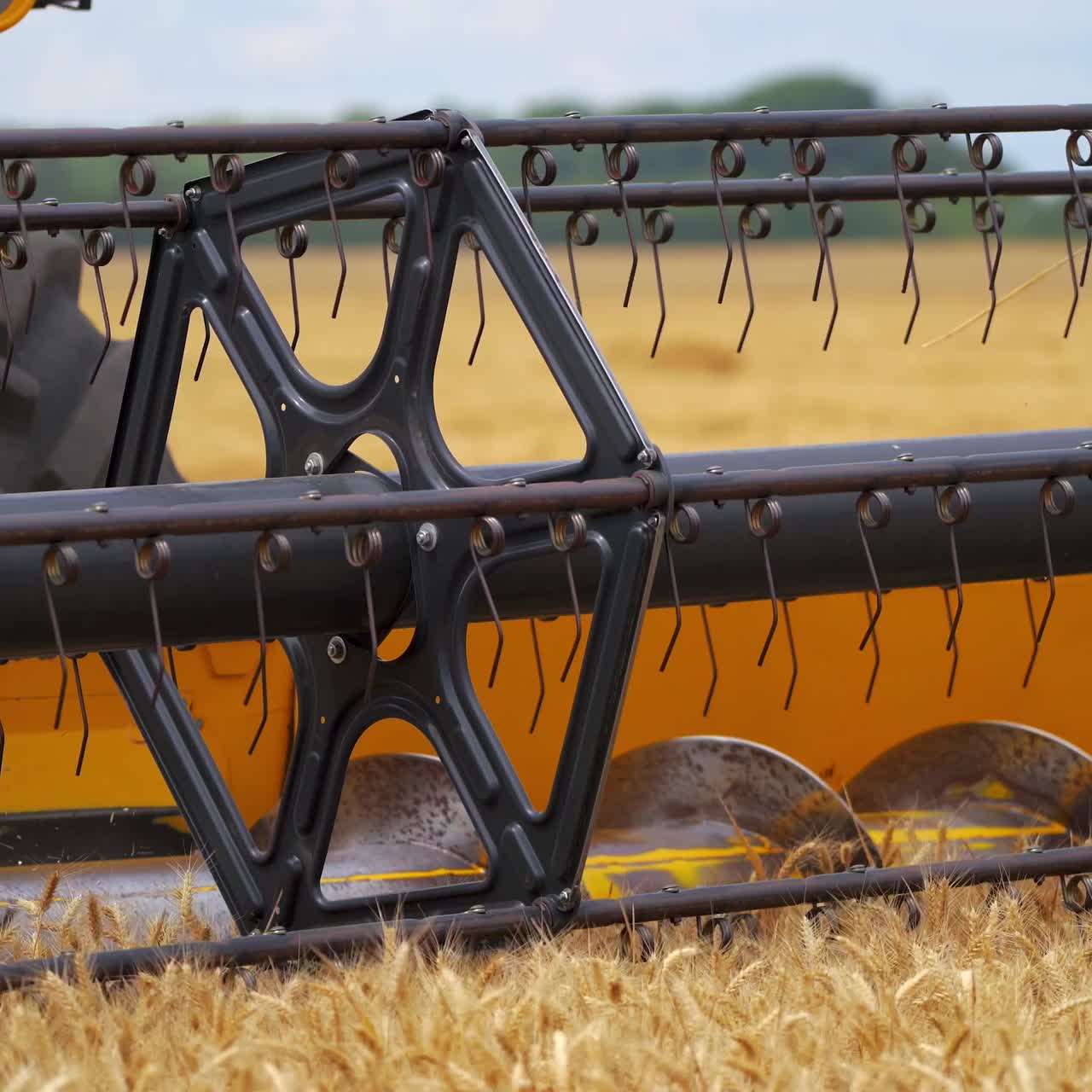 Combine harvester works in field. Harvester drives through field of wheat, cutting yellow plants. Modern machine collecting harvest. Close-up