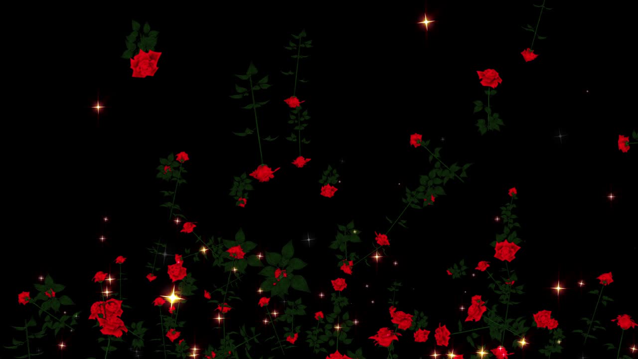 장미 꽃 입자 루프 애니메이션