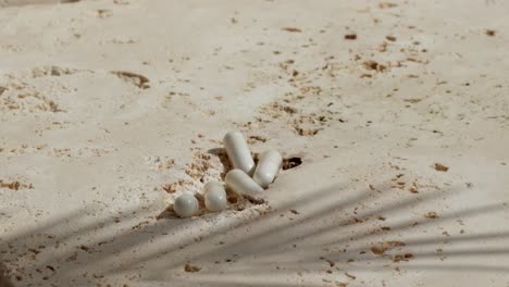 white pills on beige stone surface