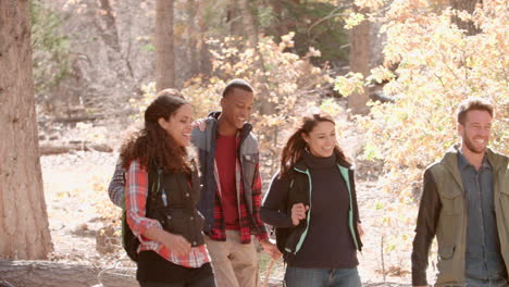 five happy friends enjoy a hike in a forest, side view, pan