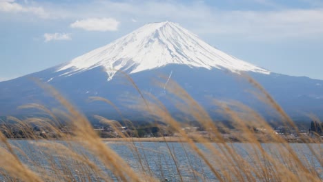 vista del paisaje natural de la montaña volcánica fuji con el lago kawaguchi en primer plano 4k uhd video filmación corta