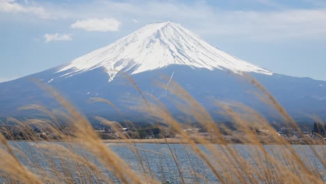 natürliche landschaftsansicht des fuji-vulkanbergs mit dem kawaguchi-see im vordergrund, 4k-uhd-videofilmmaterial, kurz