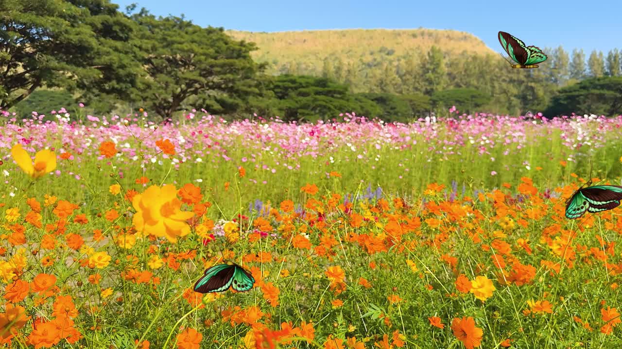 Colorful butterflies flutter gracefully above a lush, blooming meadow under a clear blue sky, creating a serene and lively atmosphere