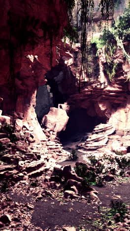 entrada oculta de una cueva en una jungla tropical