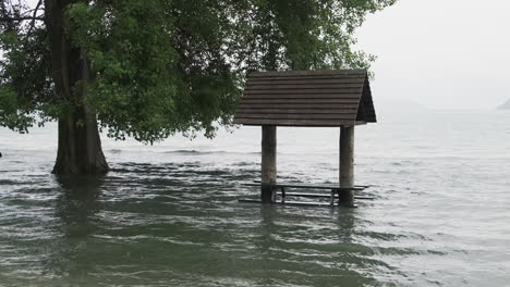 park bench sits submerged in floodwater beside a tree