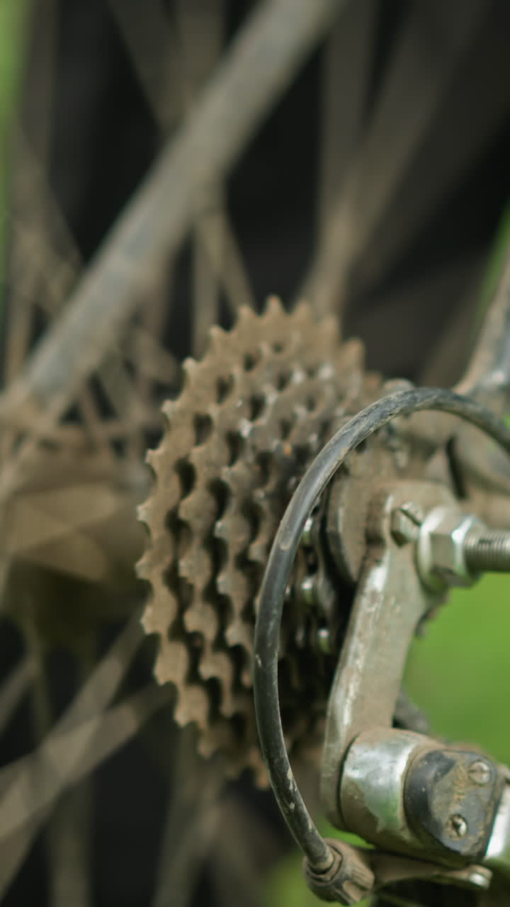 primer plano de una persona de pie junto a una bicicleta estacionada en un campo de hierba, el individuo levanta ligeramente el neumático trasero y pedalea brevemente, haciendo que el neumático gire, el fondo está borroso