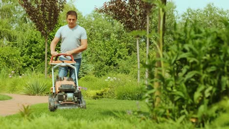 lawn mower cutting the grass. gardening activity. cutting grass with petrol driven lawn mower in sunny garden. gardener working with  mower machine in the garden. lawn mower cutting green grass