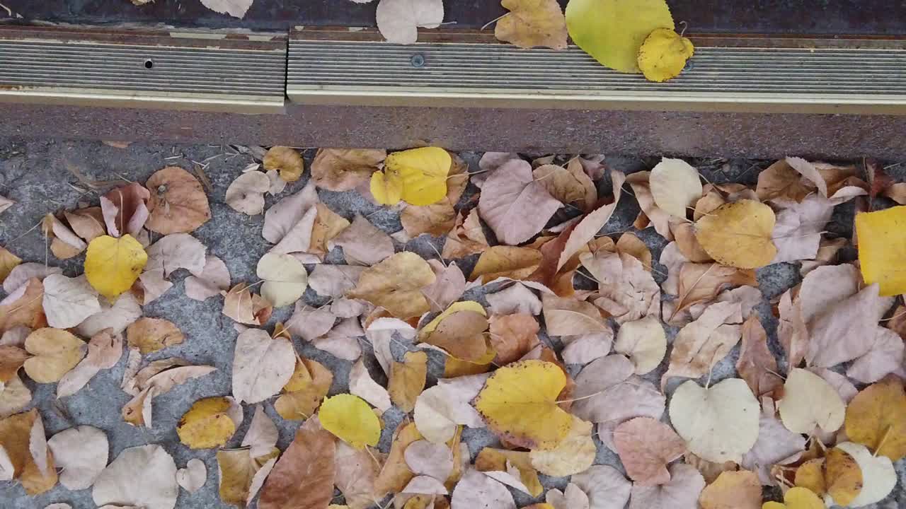Le tracce dell'autunno lasciate sui gradini di una casa, con foglie di diversi colori.